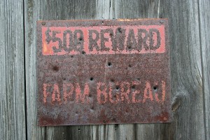 Reward