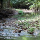 Inside the Hoosier National Forest