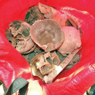 Skulls in a Large Bag