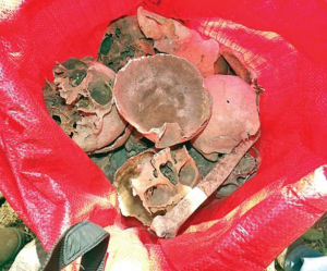 Skulls in a Large Bag