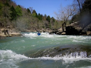 Kayaking Down the Rockcastle River