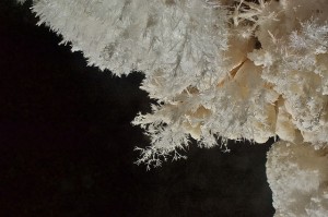 Aragonite frostwork inside Jewel Cave
