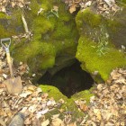 Attempted Cave Dig at Fox Den Cave
