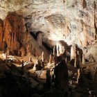 Stalgmites in Slovenia's Postojna Cave