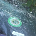 One of many Broken Windows. Photo by Gordy Ley.