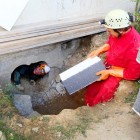 Members of the Speleological Society of Geneva Installing Insulation