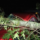 Damage after the storm. Photo by Bill Liebman.