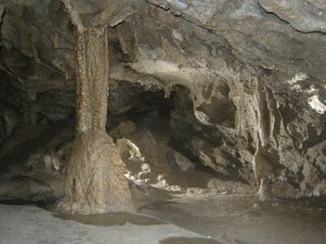 The Grand Column inside Oregon Caves National Monument
