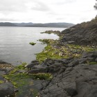 The shore of Southport, Tasmania