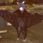 An Excellent Bat Costume