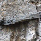 Limestone