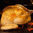 A Plump Thanksgiving Turkey.