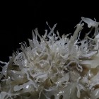 Speleothems inside the newly discovered Pierre Martin Chamber of Brazil's Santana Cave.