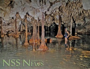Cover of the December 2012 Issue of NSS News