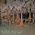 Cover of the December 2012 Issue of NSS News
