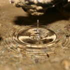 Water drops in Oregon Caves National Monument.