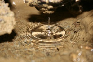Water drops in Oregon Caves National Monument.