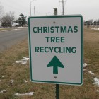 Christmas Tree Recycling Ahead.