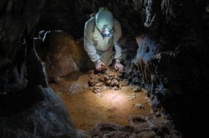 During the Expedition in the Caves