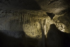 Soda straws on display in the cave.