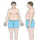Different Body Types.