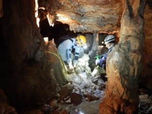 Algae Removal and Wire Covering in Outlaw Cave.