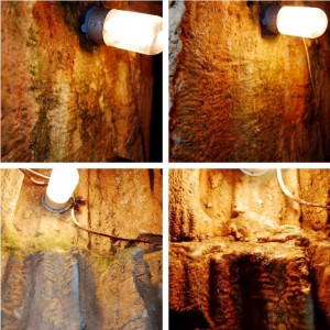 Before & After Shots of Algae Cleaning in Kentucky's Outlaw Cave.