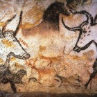 Animal Cave Art from inside Lascaux.