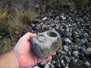 Potential Artifact.