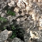 Kanehili Karst Cave.