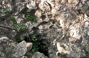 Kanehili Karst Cave.