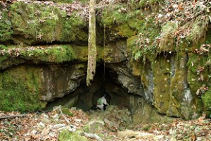The entrance to Ogdens Cave.