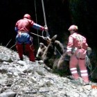 The dead bear being removed from the cave.