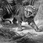 Early restoration depicting a saber-toothed tiger.