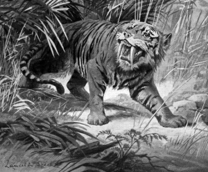Early restoration depicting a saber-toothed tiger.