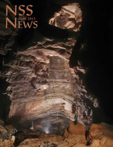 Cover of the June 2013 Issue of NSS News.