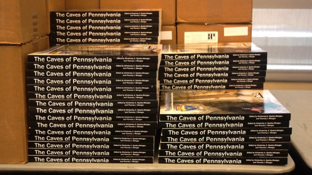 Copies of this year's NSS Convention Guidebook.