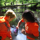 Students collect dragonfly larvae from a pond at Mammoth Cave NP as part of a multi-park citizen science project on mercury bio-accumulation.
