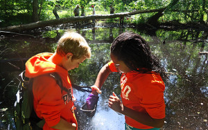 Students collect dragonfly larvae from a pond at Mammoth Cave NP as part of a multi-park citizen science project on mercury bio-accumulation.
