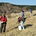 Friends of Wind Cave National Park helping to remove a fence in the park during National Public Lands Day 2012.