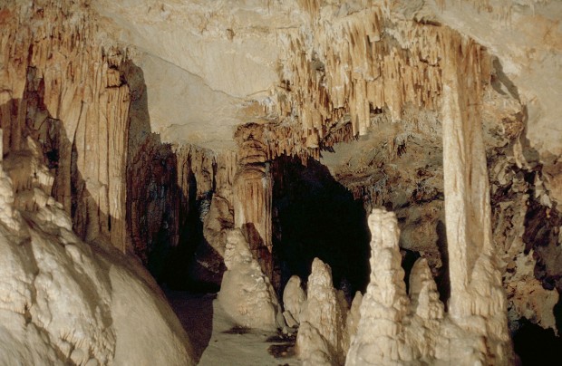 New River Cave's Winter Forest Room.