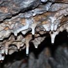 Stalactites in a cave behind Hodgkinson's Hotel in Matlock Bath, England.