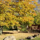 Kentucky's Carter Caves State Resort Park.