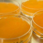 Rhodococcus rhodochrous strain DAP96253 growing on induction media in the lab.
