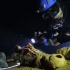 The Madagascar Karst Exploration Project.
