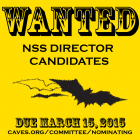 Wanted: NSS Director Candidates