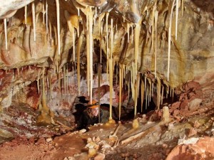 Stalactites in Wind Cave National Park.