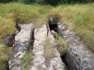 The entrance of Nexus Cave in Ontario's Eramosa Karst Conservation Area. 