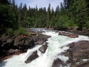 The Stamp River in British Columbia's Stamp River Provincial Park
