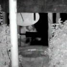 CCTV captured two thieves stealing money from the Wookey Hole wishing well.
